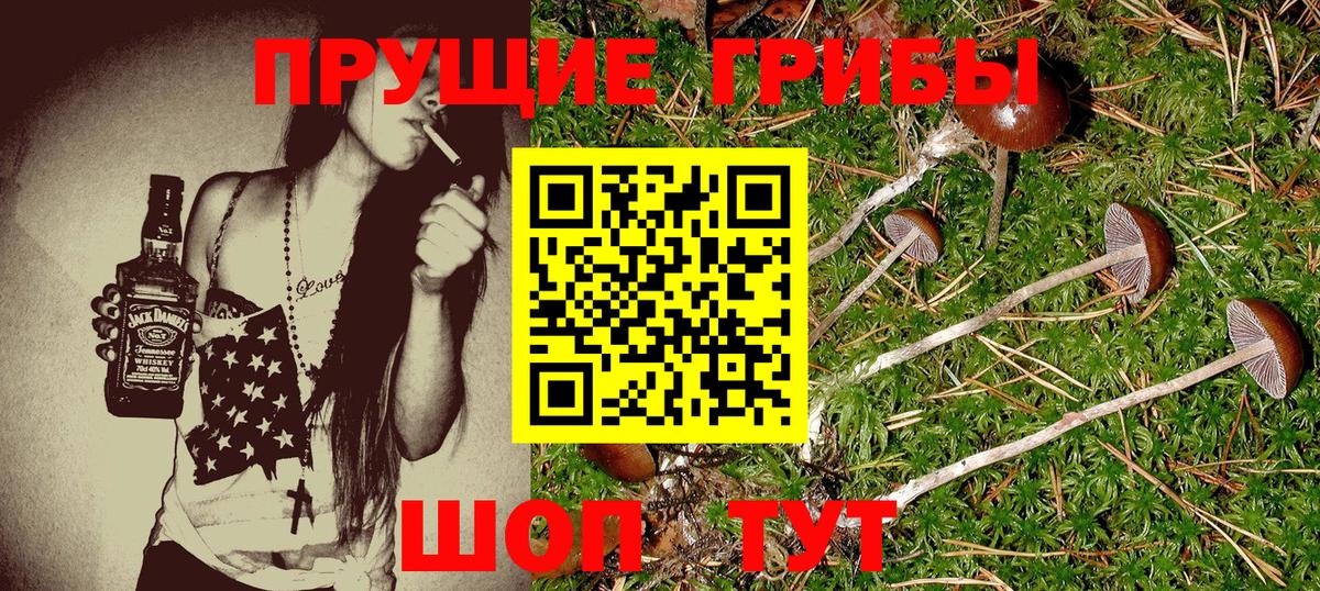 закладка  Псилоцибиновые грибы MAGIC MUSHROOMS  Вход с VPN  Берёзовский 