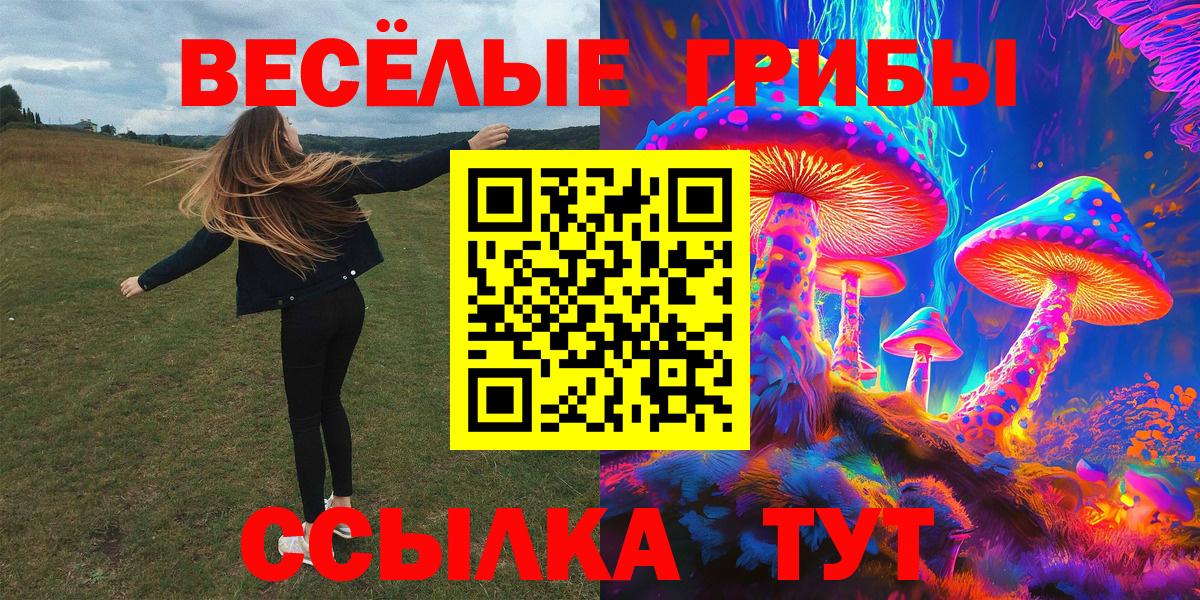 Галлюциногенные грибы мицелий Берёзовский